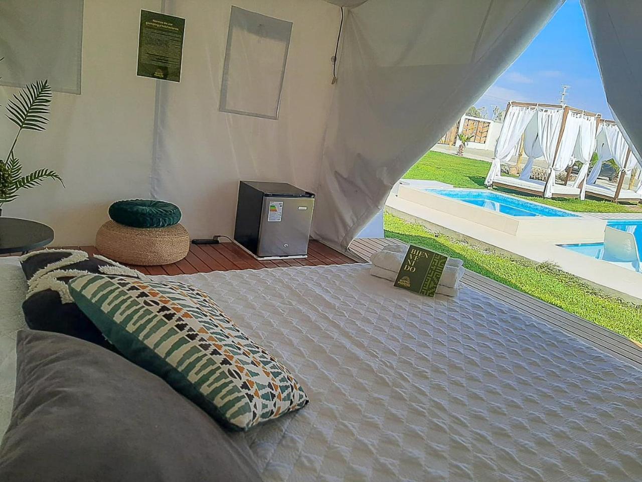 Mystic Paracas Hotel Extérieur photo